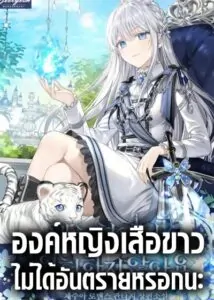 The White Tiger Princess is Not Dangerous